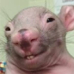 Meet your Posher, Sucky